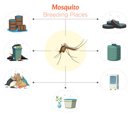 Illustration of Mosquito Breeding Places Stagnant Water in Various Locations