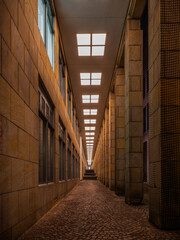narrowed vision - verengte Sicht
