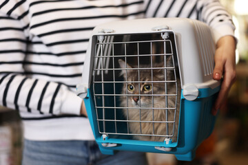 Woman with her cat in carrier at pet shop, closeup