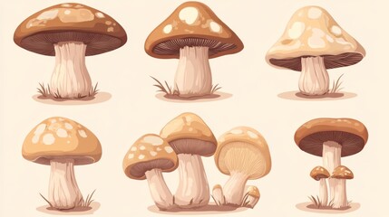 Collection of creative cartoon mushrooms with unique shapes and patterns