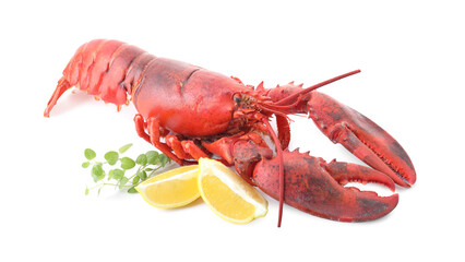 Tasty boiled lobster, lemon and microgreens isolated on white