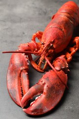 Delicious boiled lobster on grey table, closeup