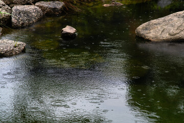 ripples caused by the rains on the pond surface