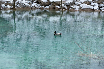 Jiuzhai Valley National Park located in Sichuan Province, China, is a UNESCO world natural and cultural site. As the world's most beautiful national park, it features unique waterfalls, colorful lakes