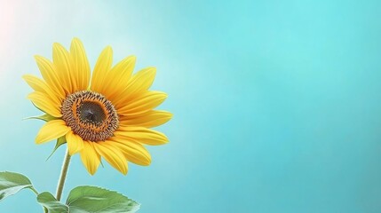 Obraz premium Vibrant sunflower against a bright blue backdrop. A symbol of summer and joy.