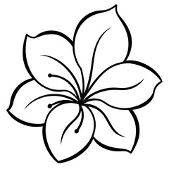 hawaiian flower vector white background 
