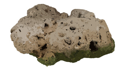 Rock on the beach with algae