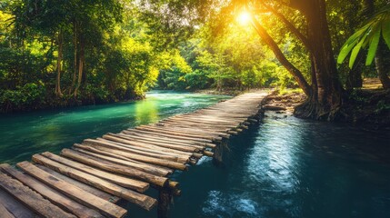 Adventurous Zip Lining Over Tropical Rivers