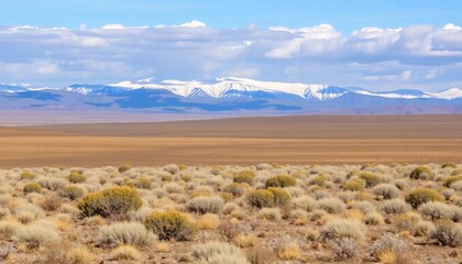Serene Nevada Desert Landscape with Snow-Capped Mountains