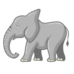 elephant isolated on white