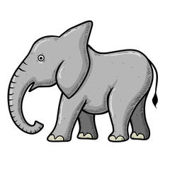 elephant isolated on white