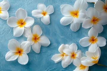 Fototapeta premium Beautiful white flowers with yellow center petals arranged on a calm blue surface creating a serene atmosphere