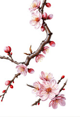 Elegant antique style winter decorative plum blossom can be commercial elements