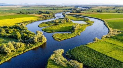 Scenic River Views with Abstract Elements in Soft Focus