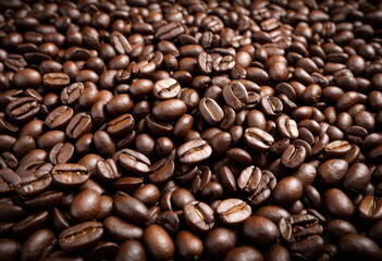 Fototapeta premium Full frame of Indonesian coffee beans