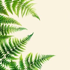 Lush Greenery of Fern Leaves Forming a High-Quality Botanical Background