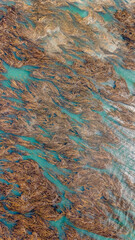 the wild and raw beauty of the end of the world: fireland and the beagle channel