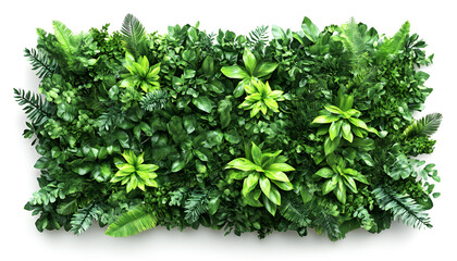 Obraz premium Artificial plants decorative panel isolated on white, collection