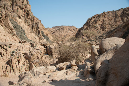 Exploring the Nabq Nature Reserve in Sharma El-Sheikh, Egypt.