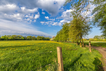 Lausitzer Seenlandschaft