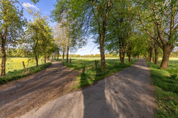 Lausitzer Seenlandschaft