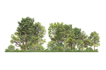 Group of tree. Green treeline isolated on white backgroundand charity. png file.	