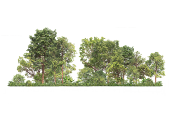 Group of tree. Green treeline isolated on white backgroundand charity. png file.	