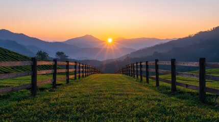 Obraz premium Majestic Golden Sunrise Over the Rolling Hills and Fields