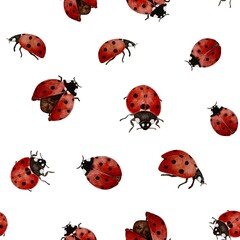 Seamless pattern of ladybugs on white background