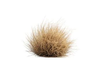 Desert tumbleweed against white background