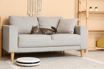 Modern robot vacuum cleaner and cute cat lying on sofa at home