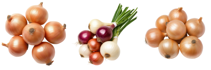 Various fresh onions arranged artistically on a white background.