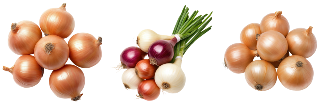 Various fresh onions arranged artistically on a white background.