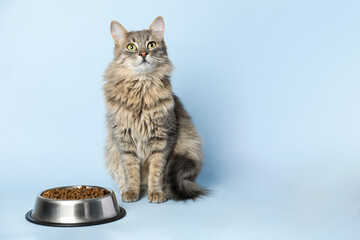 Cute cat near feeding bowl with dry pet food on light blue background, space for text