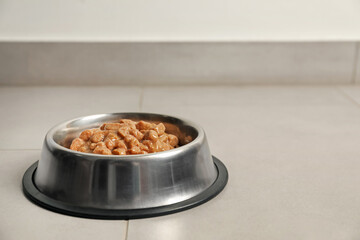 Wet pet food in feeding bowl on floor, space for text
