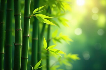 Intricate bamboo stalks, sunlight dappled leaves , green, shadow, vertical