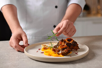 Professional chef serving dish at table indoors, closeup