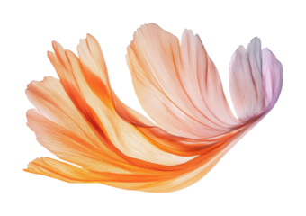 Delicate petals swirl gracefully in an artistic display of soft colors and flowing shapes, cut out