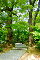 竈門神社・参道（福岡県・太宰府市）