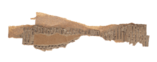 Blank ripped cardboard scraps isolated on white, clipping path