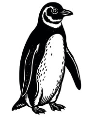 paint-in-illustration--style-design-a-penguin