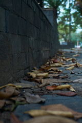 old brick wall with graffiti