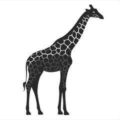 Fototapeta premium Giraffe Silhouette vector illustration