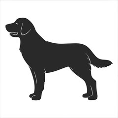 Golden Retriever  Silhouette vector illustration