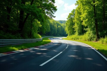High-speed asphalt race track amidst verdant summer woodland, rural, sunlight, leaves