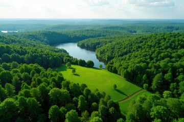 Obraz premium Lush green Minnesota landscape, aerial view Rolling hills, forests, lakes , vacation, vegetation, green