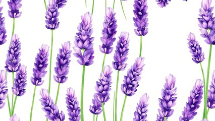 Obraz premium Watercolor Lavender Flowers Purple Floral Seamless Pattern Botanical Illustration Nature Background