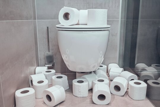 Minimalistic Toilet Overflow with Paper Rolls