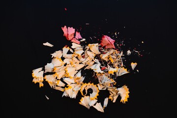 Colorful Pencil Shavings on Black Background – Creative Chaos Concept