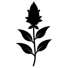 a-black-silhouette-amaranth-flower--minimalistic